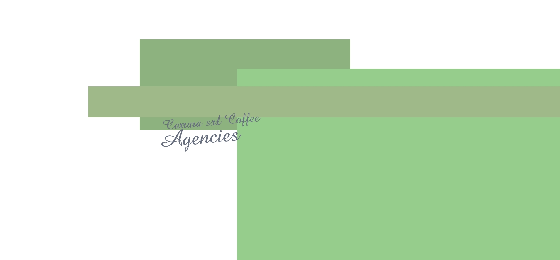 Carrara s.r.l Coffee Agencies