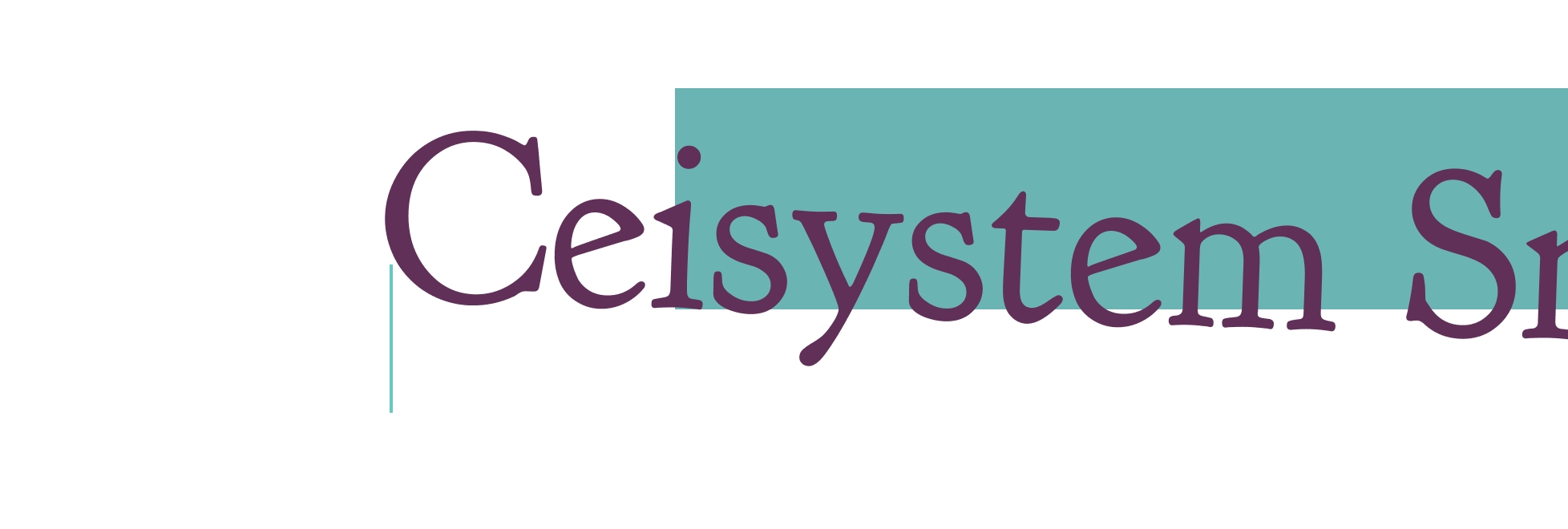 Ceisystem Srl