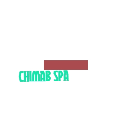 Chimab SpA