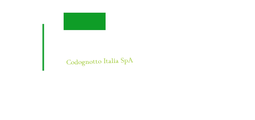 Codognotto Italia SpA
