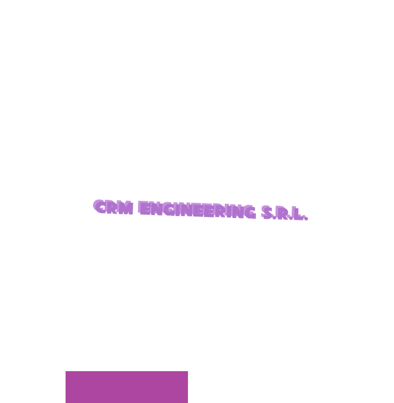 logo CRM Engineering S.r.l.