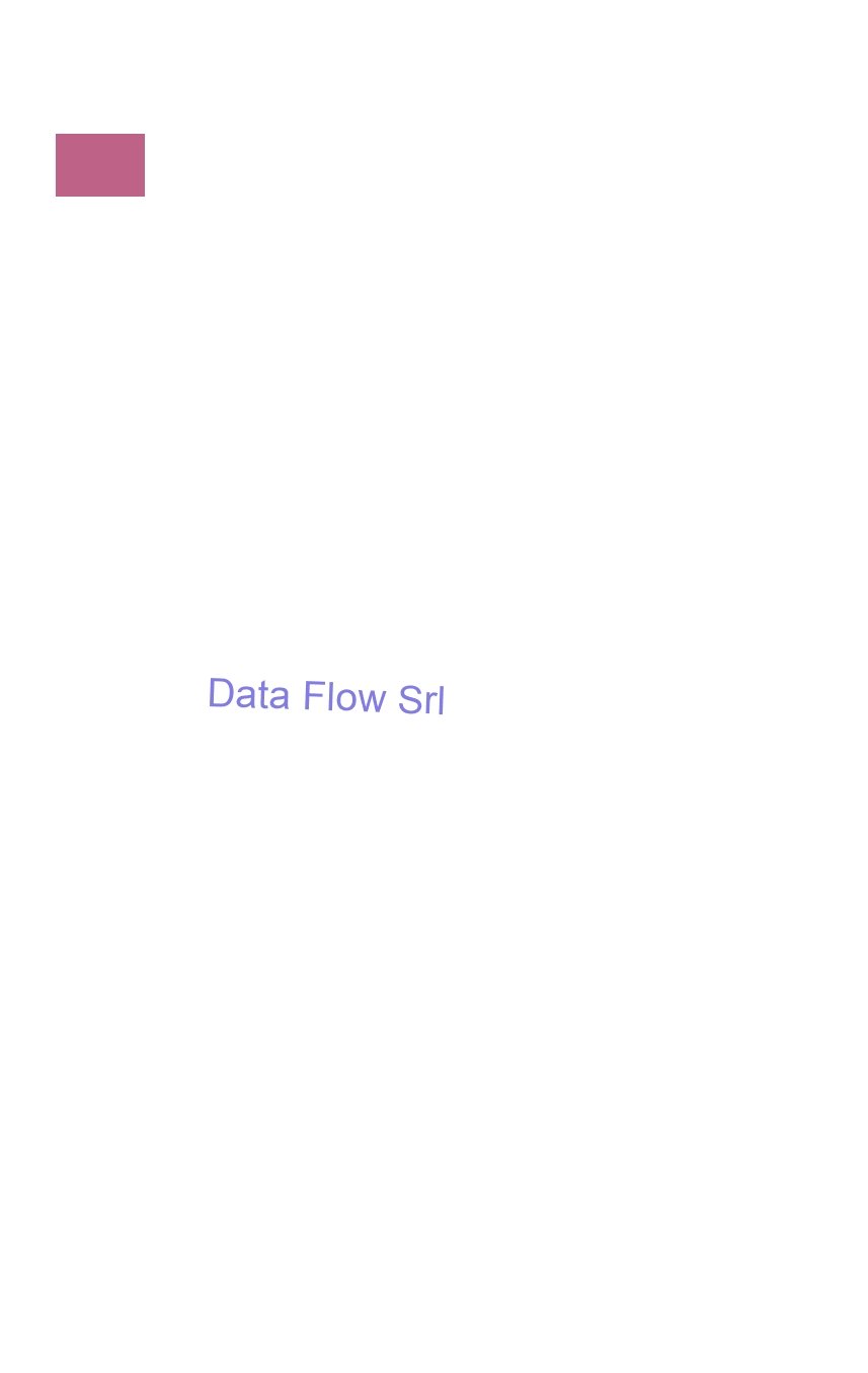 logo Data Flow Srl