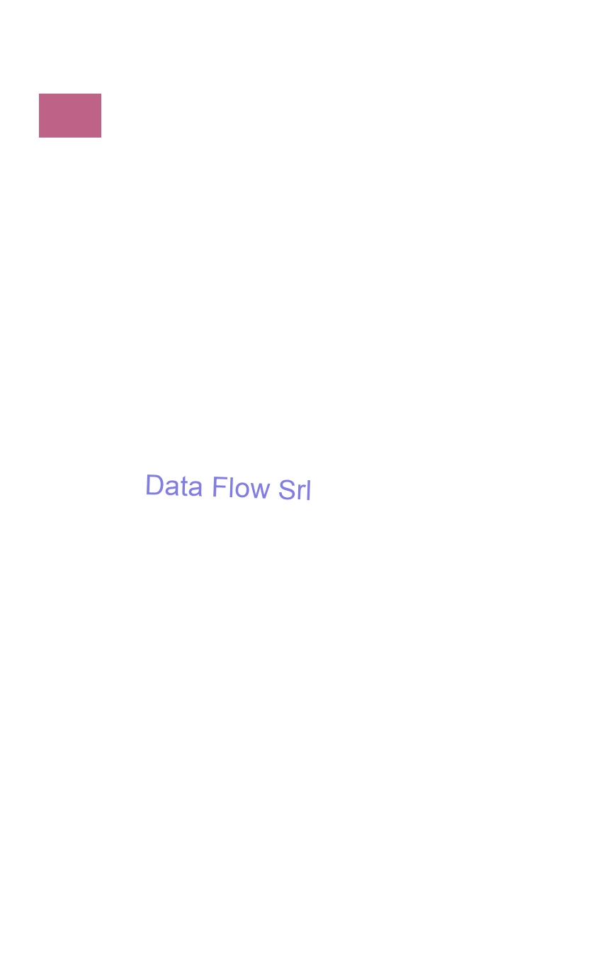 Data Flow Srl