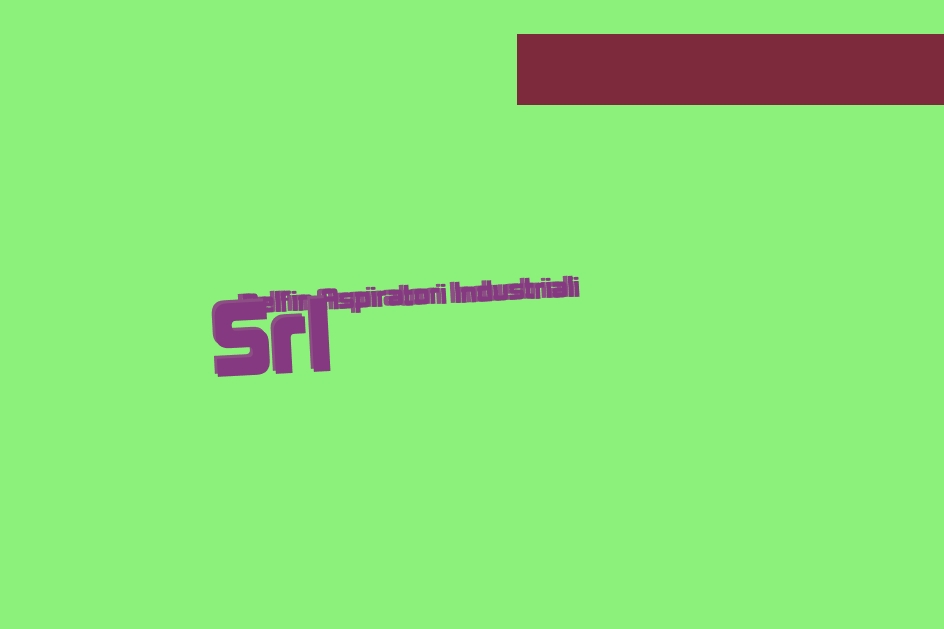 Delfin Aspiratori Industriali Srl Delfin Aspiratori Industriali Srl