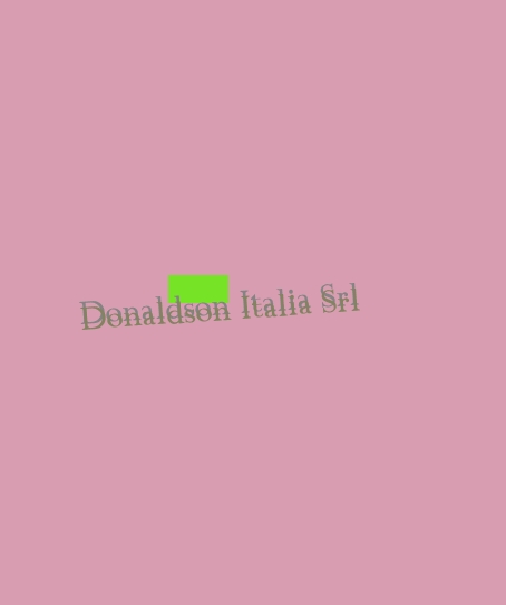 Donaldson Italia Srl