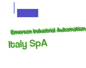 Emerson Industrial Automation Italy SpA