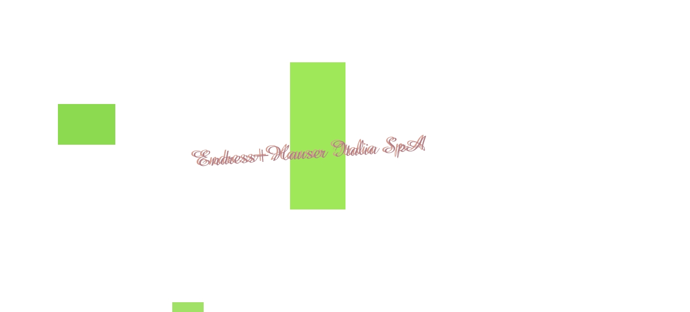 Endress+Hauser Italia SpA Endress+Hauser Italia SpA