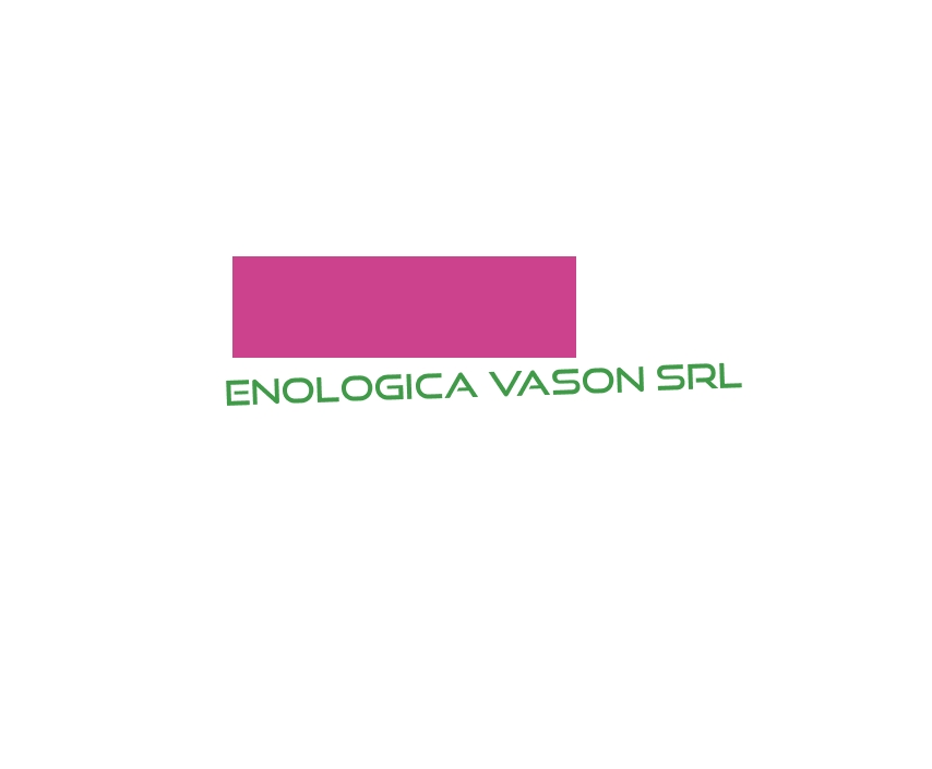 logo Enologica Vason Srl