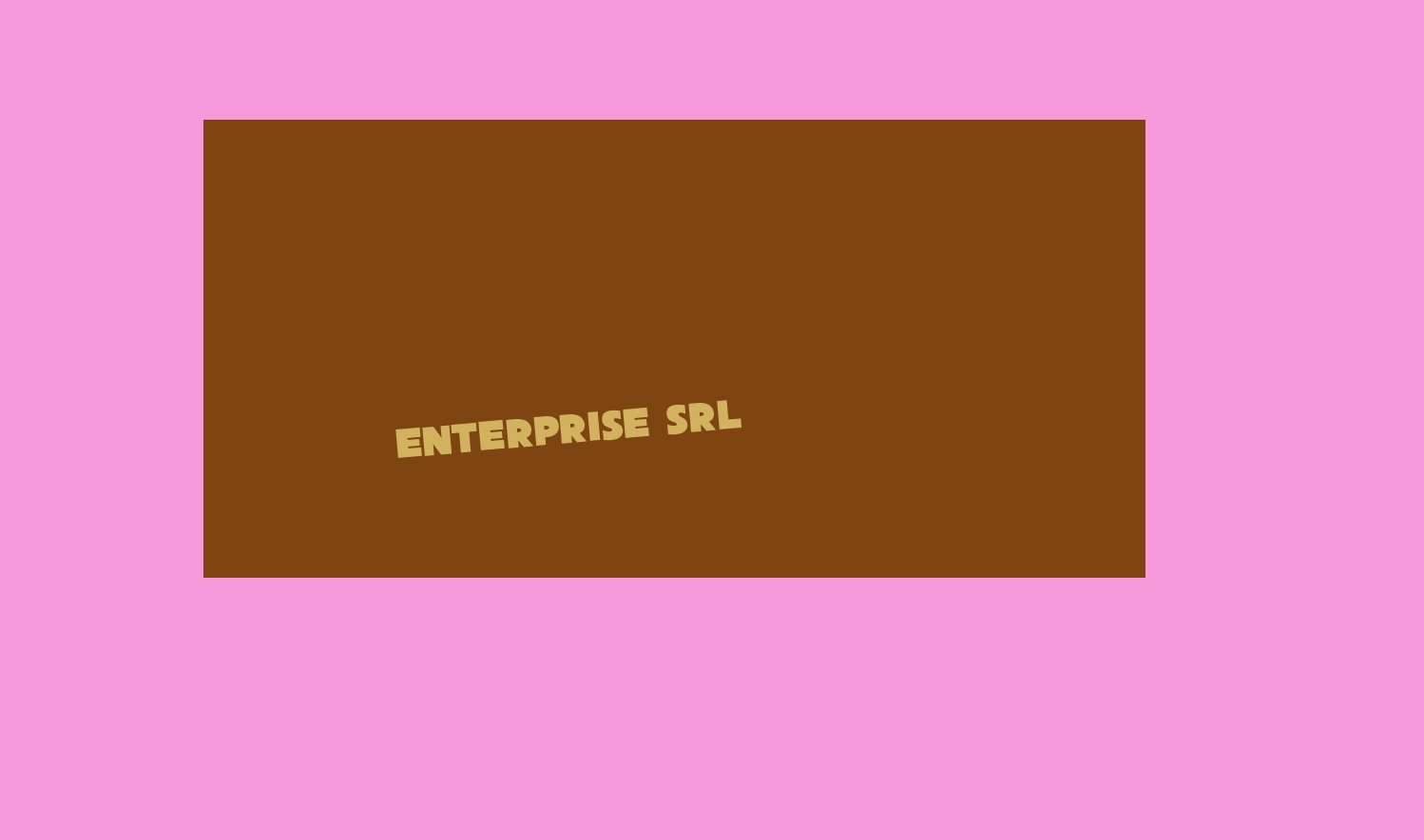 Enterprise Srl