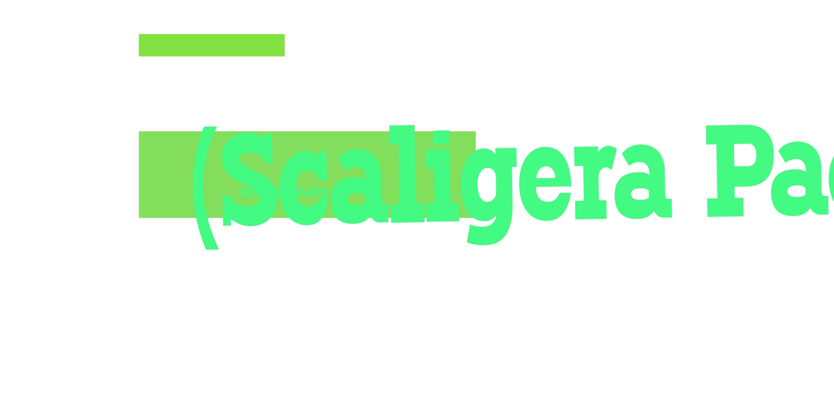 Erregi Automation Srl (Scaligera Packaging) Erregi Automation Srl (Scaligera Packaging)