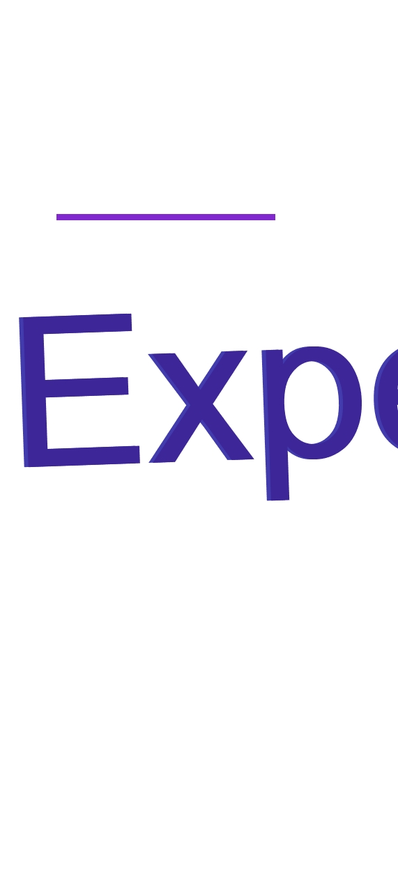 Experti srl