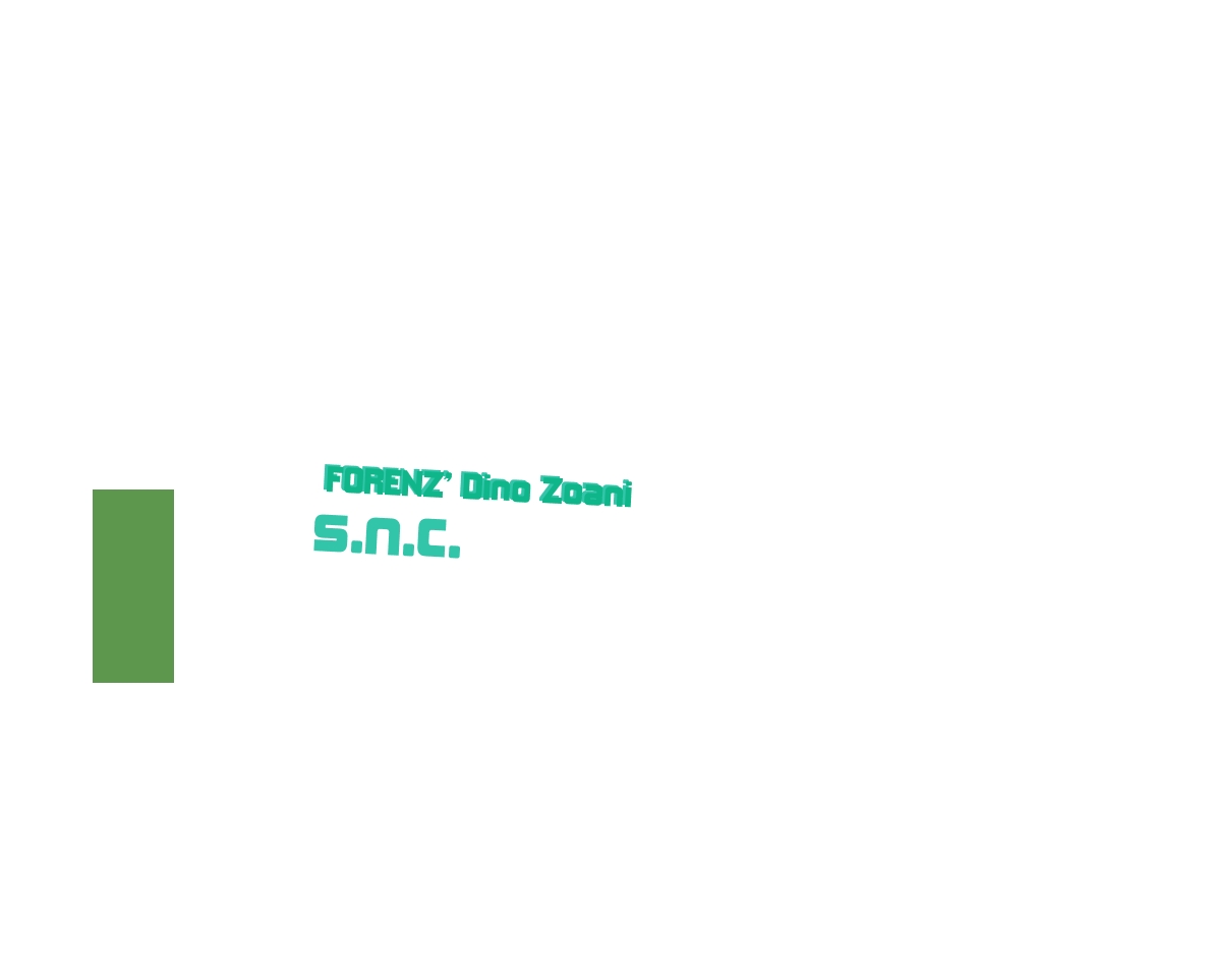FORENZ‘ Dino Zoani s.n.c.