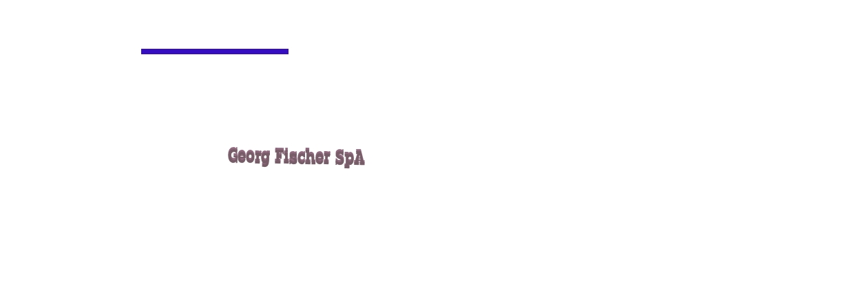 Georg Fischer SpA Georg Fischer SpA