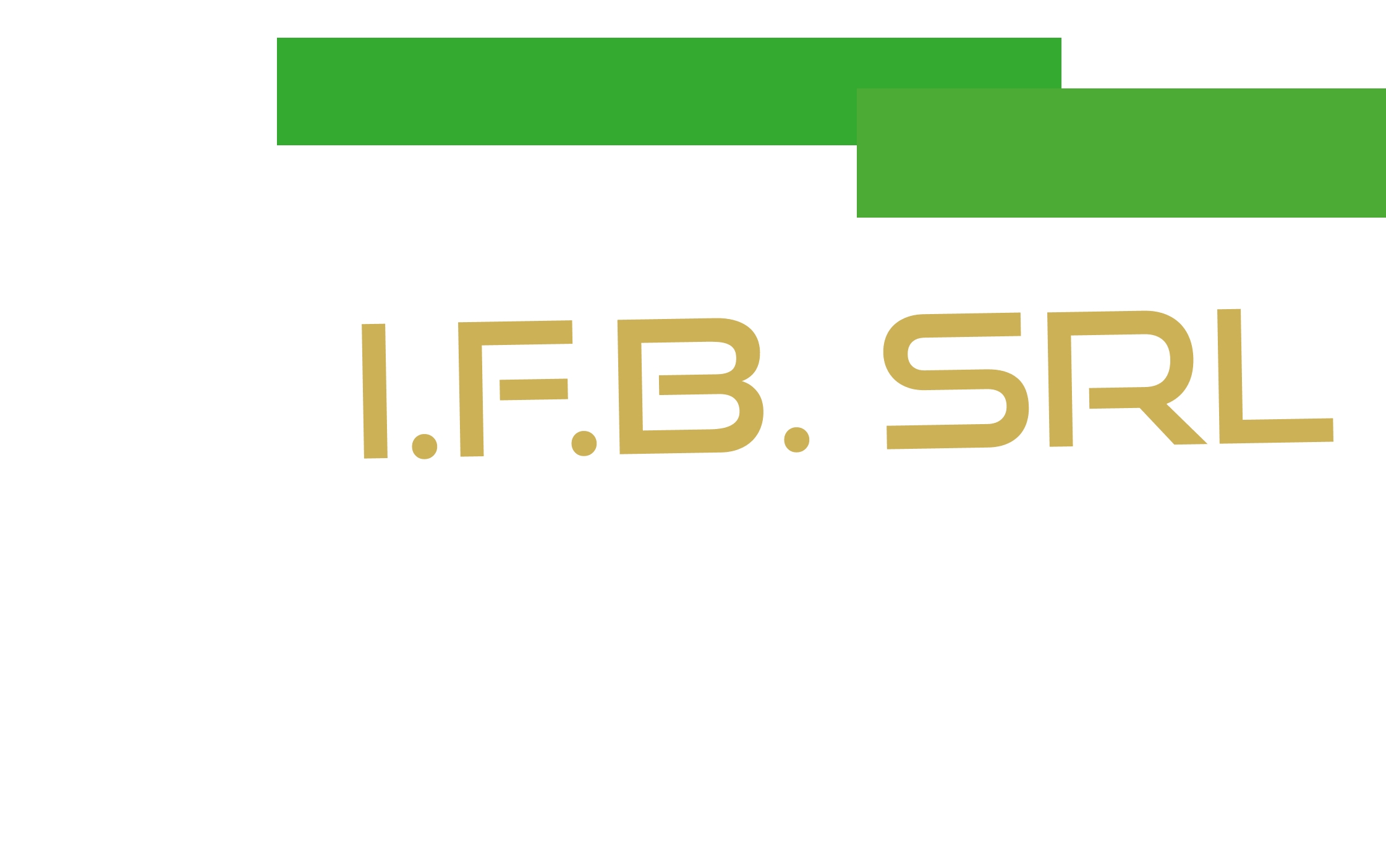 logo I.F.B. Srl