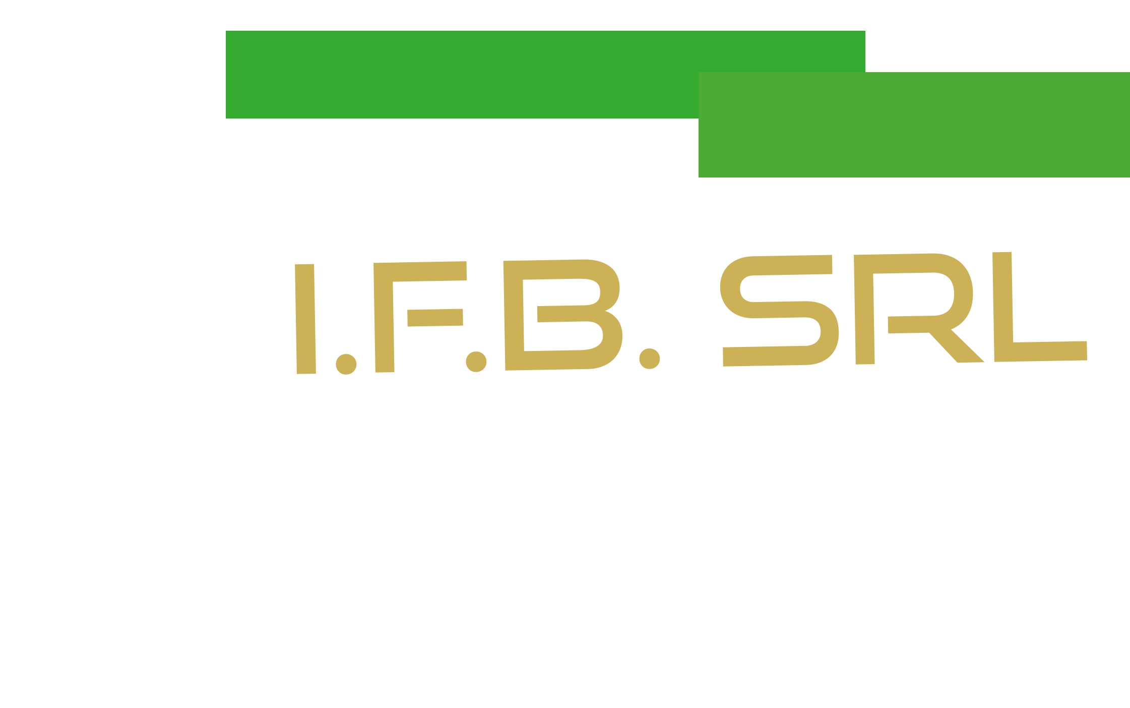 I.F.B. Srl
