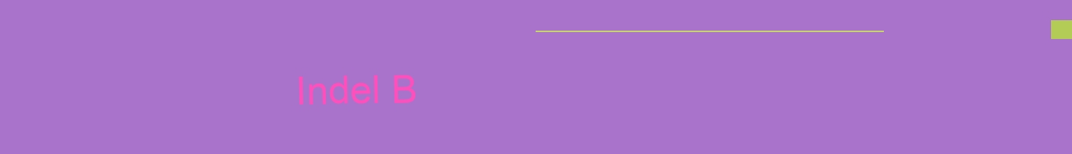 Indel B Indel B