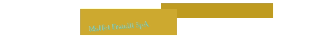 Maffei Fratelli SpA Maffei Fratelli SpA