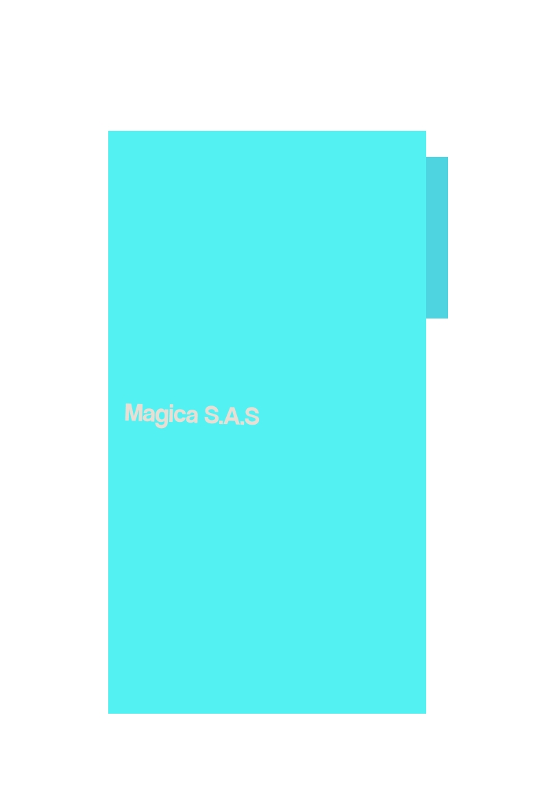 Magica S.A.S Magica S.A.S