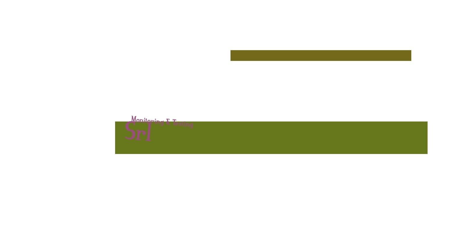 Monitoring & Testing Srl