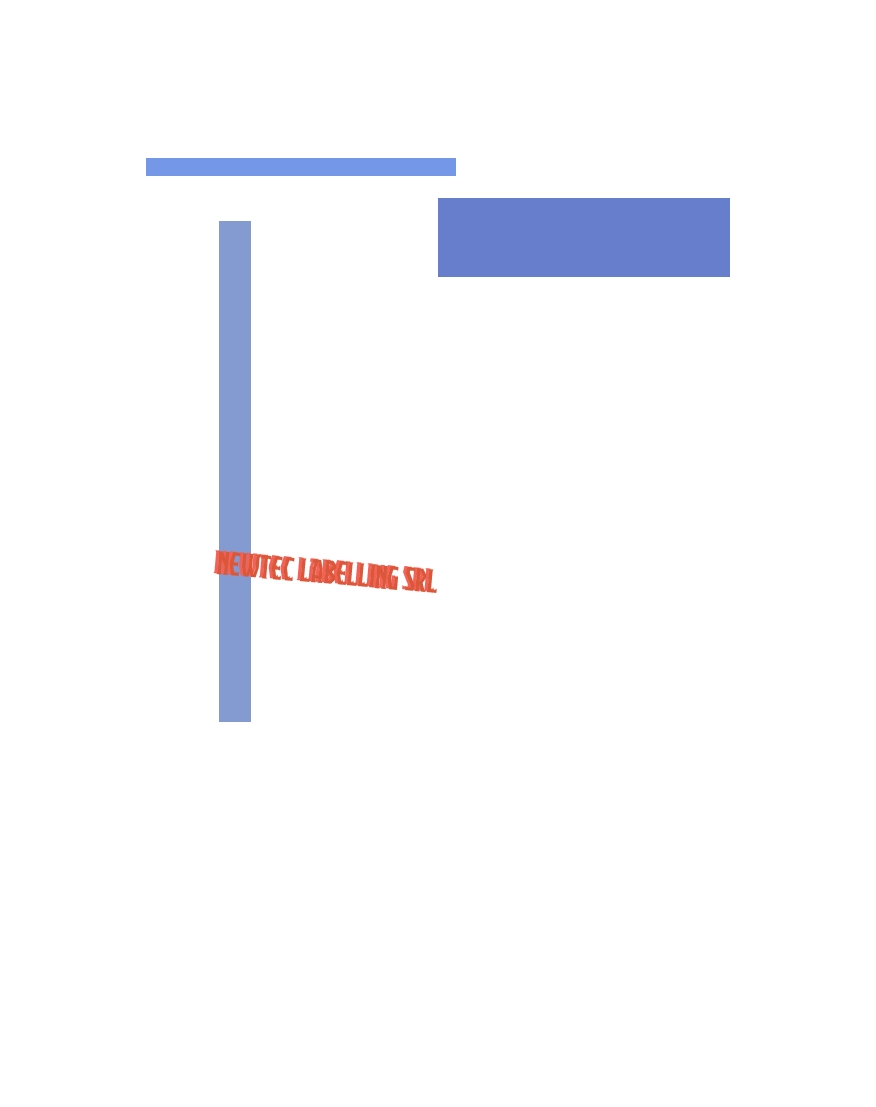 Newtec Labelling Srl