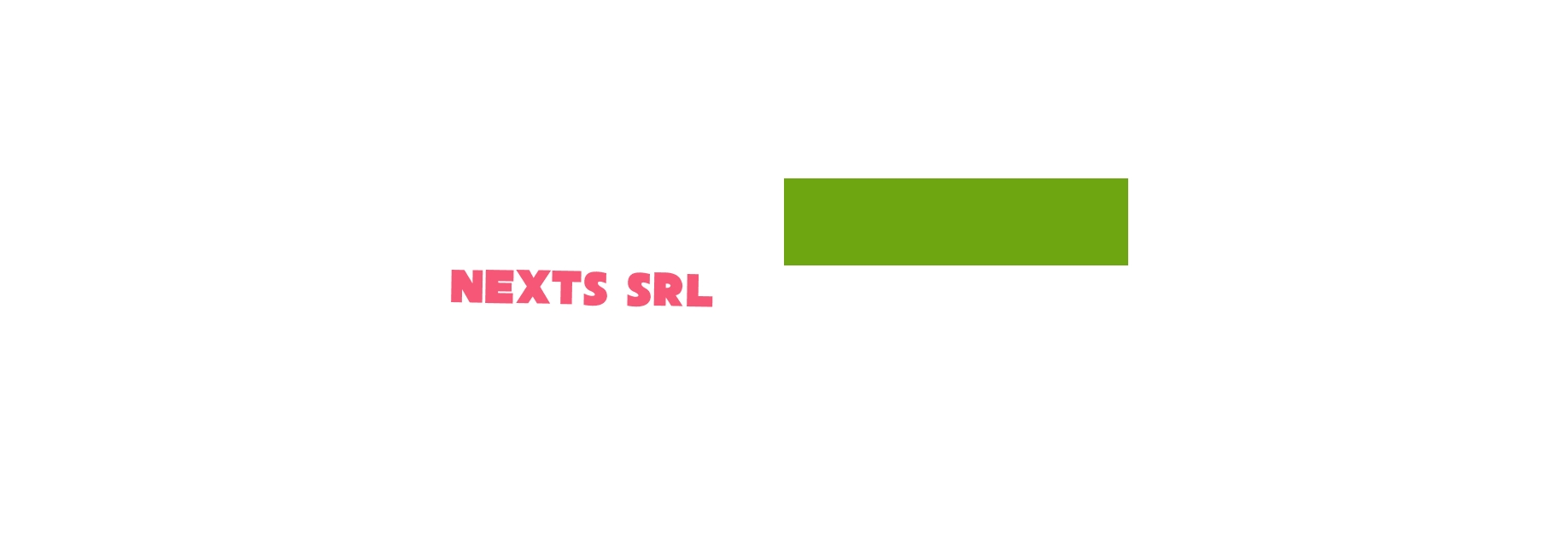 logo Nexts Srl