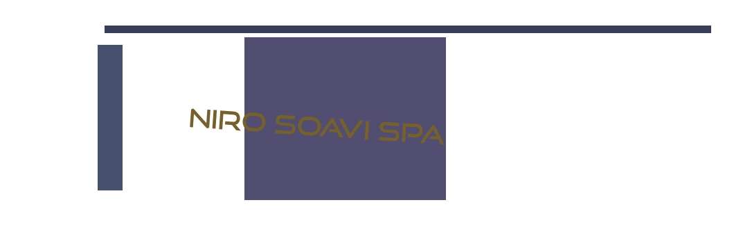 logo Niro Soavi SpA