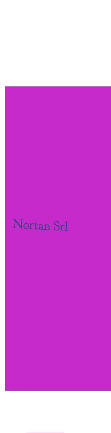 Nortan Srl
