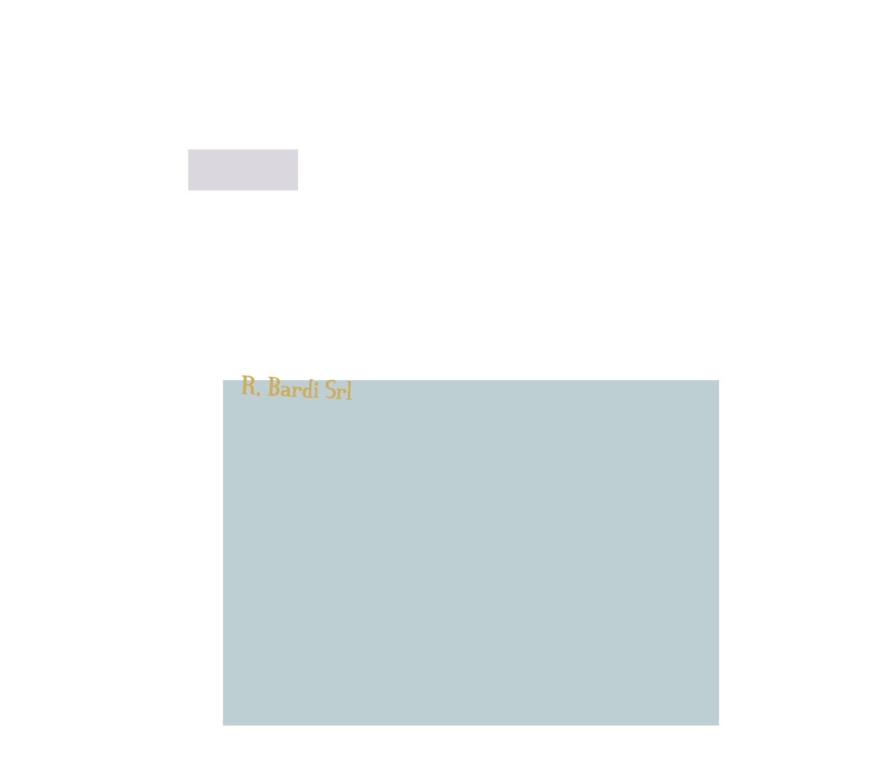 R. Bardi Srl