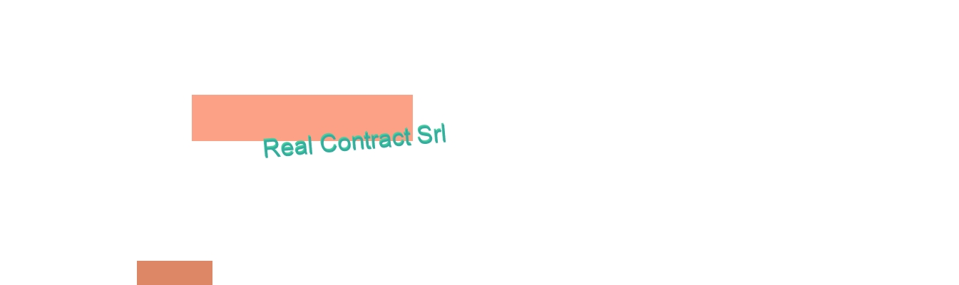 Real Contract Srl