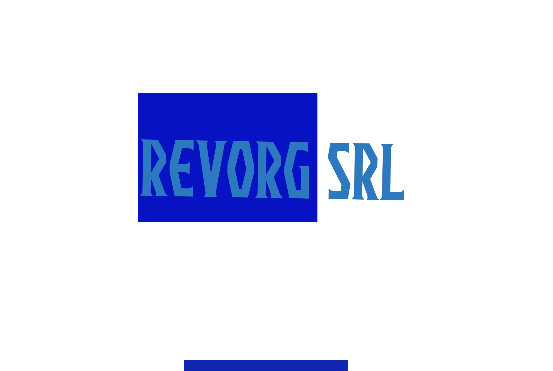 Revorg Srl