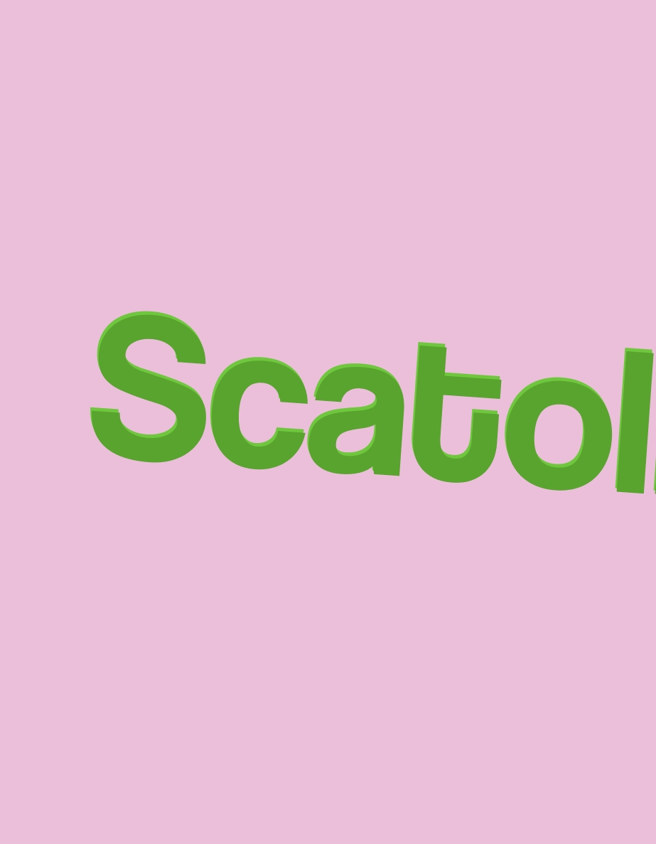 Scatolificio Medicinese