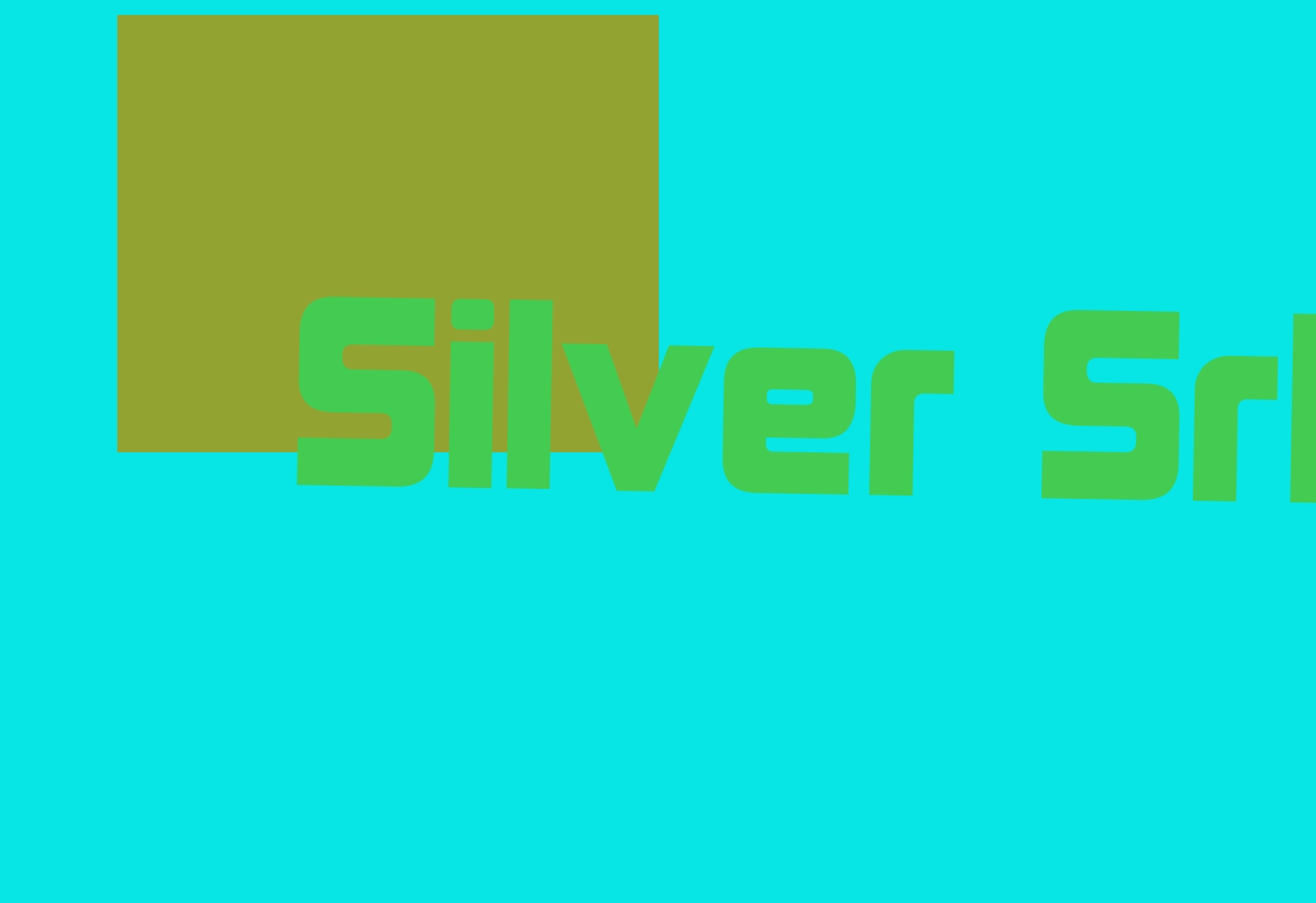 logo Silver Srl