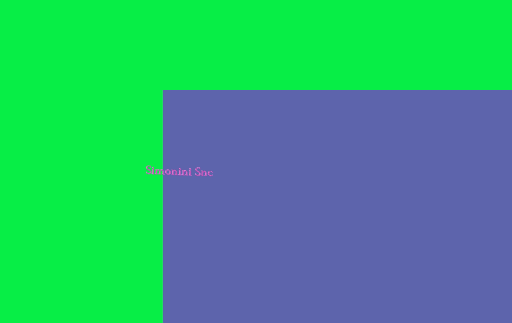 Simonini Snc