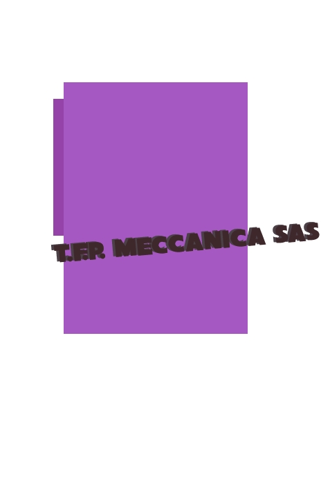T.F.P. Meccanica Sas T.F.P. Meccanica Sas