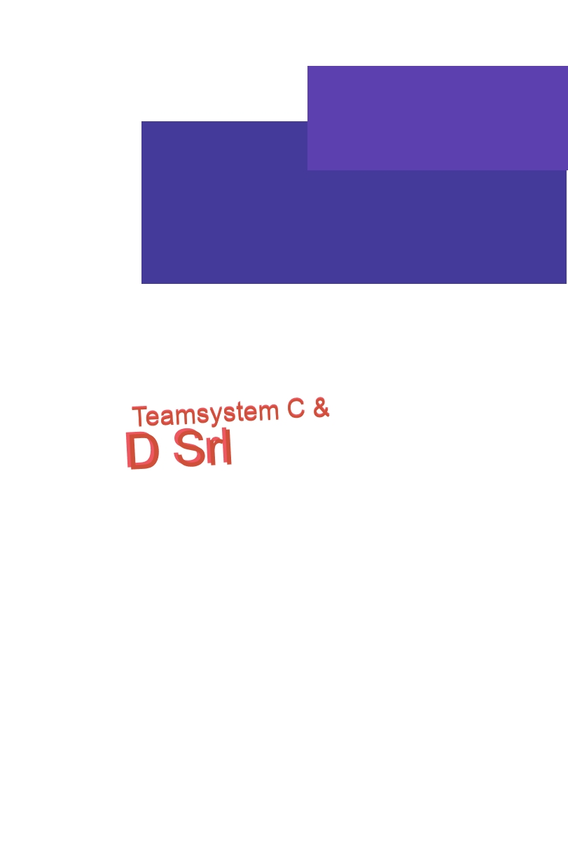 logo Teamsystem C & D Srl