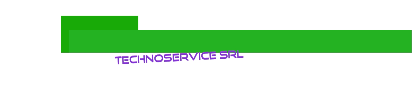 Techno Service Srl Techno Service Srl