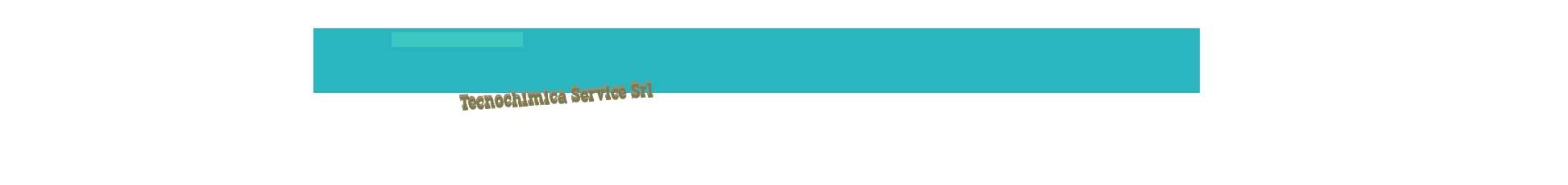 Tecnochimica Service Srl