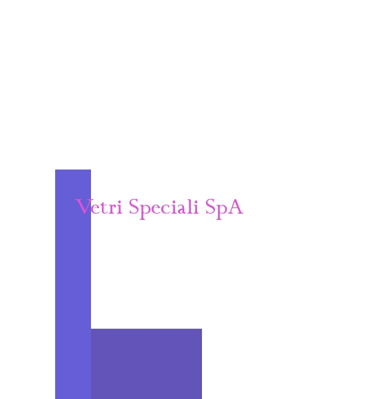 Vetri Speciali SpA Vetri Speciali SpA