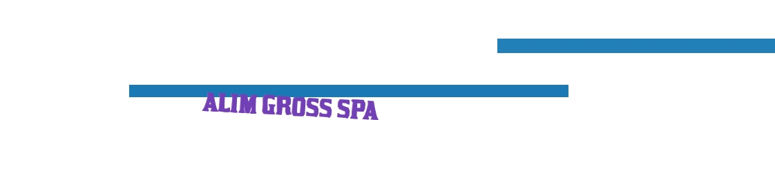 Alim Gross SpA
