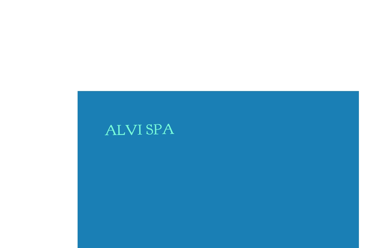 Alvi SpA