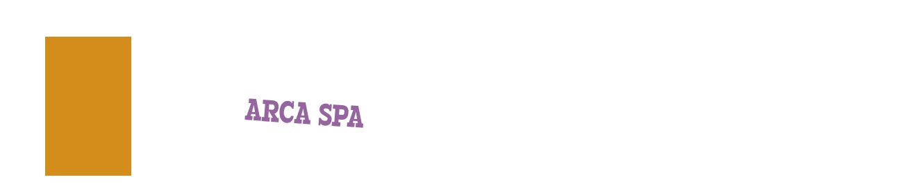 Arca SpA