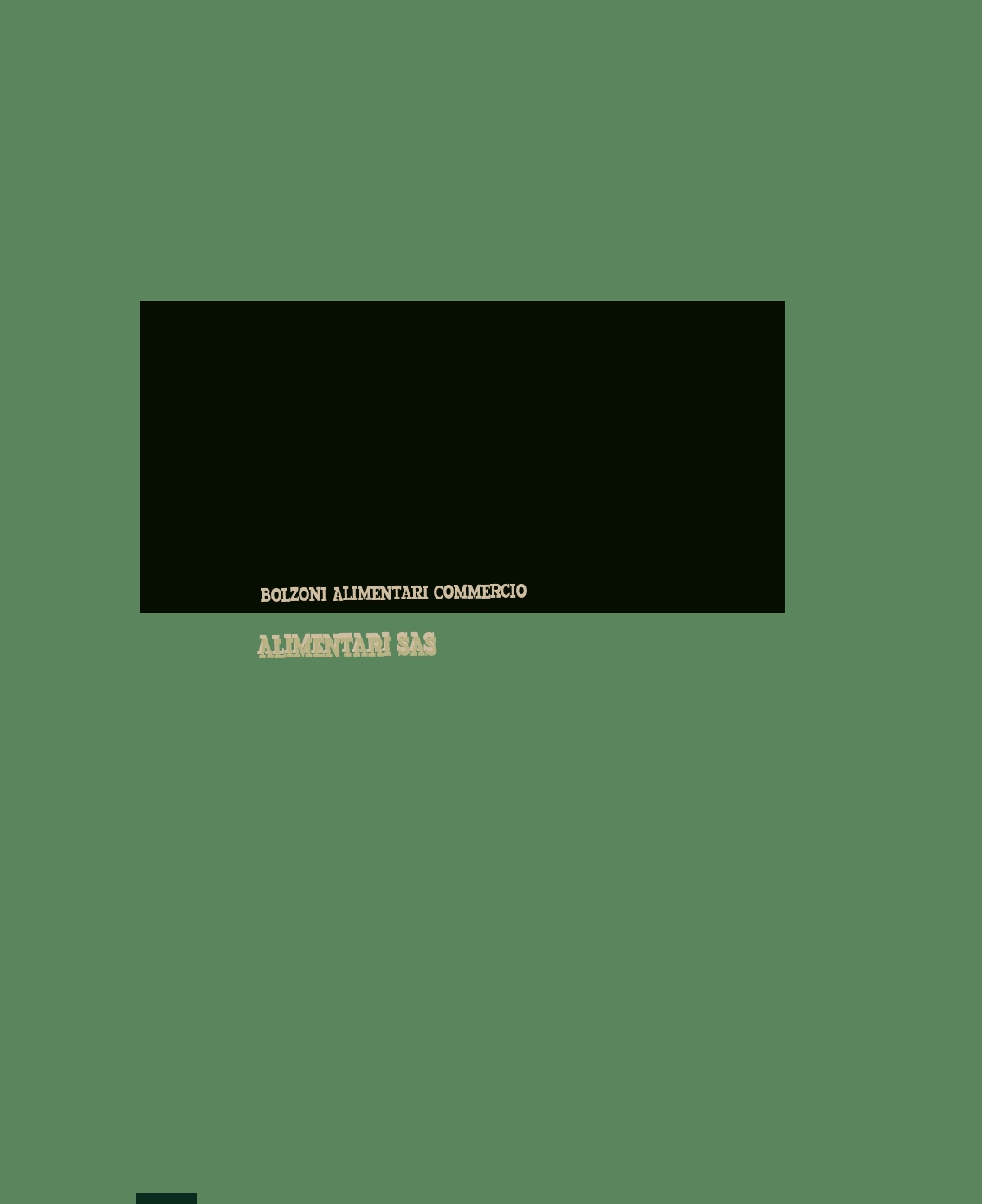 Bolzoni Alimentari Commercio Alimentari Sas