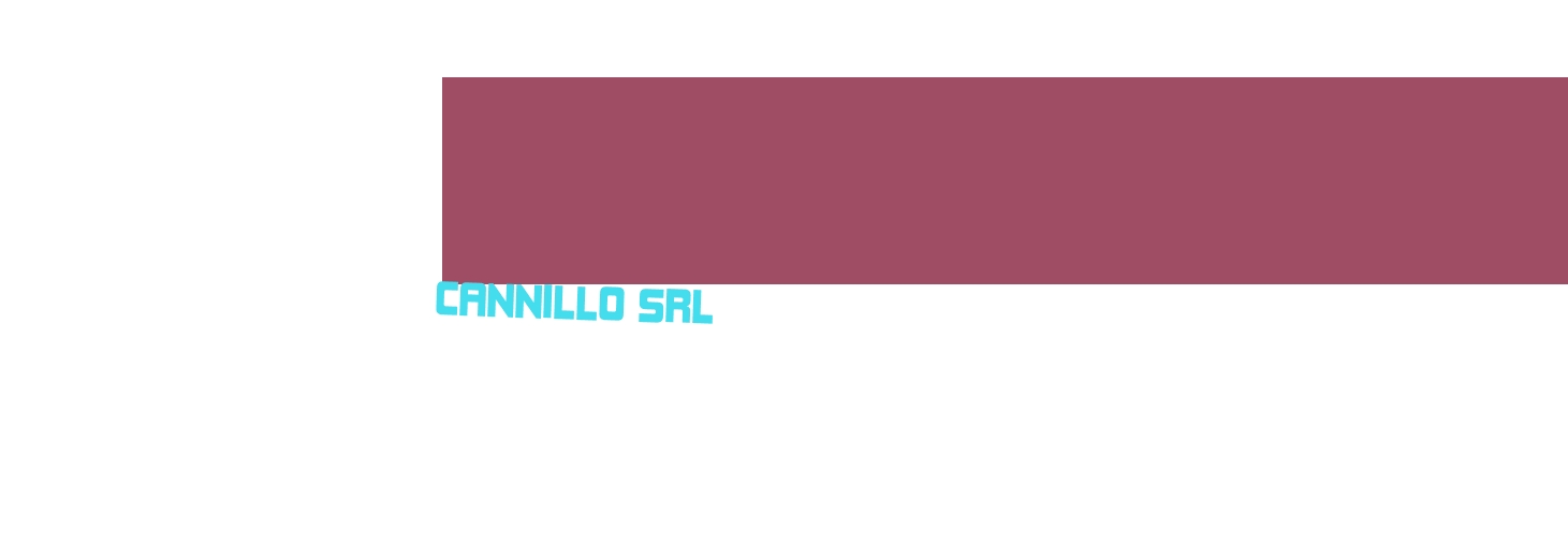 Cannillo Srl