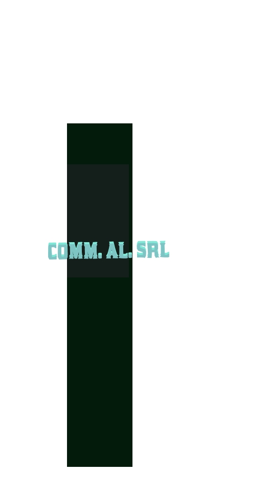 Comm. Al. Srl