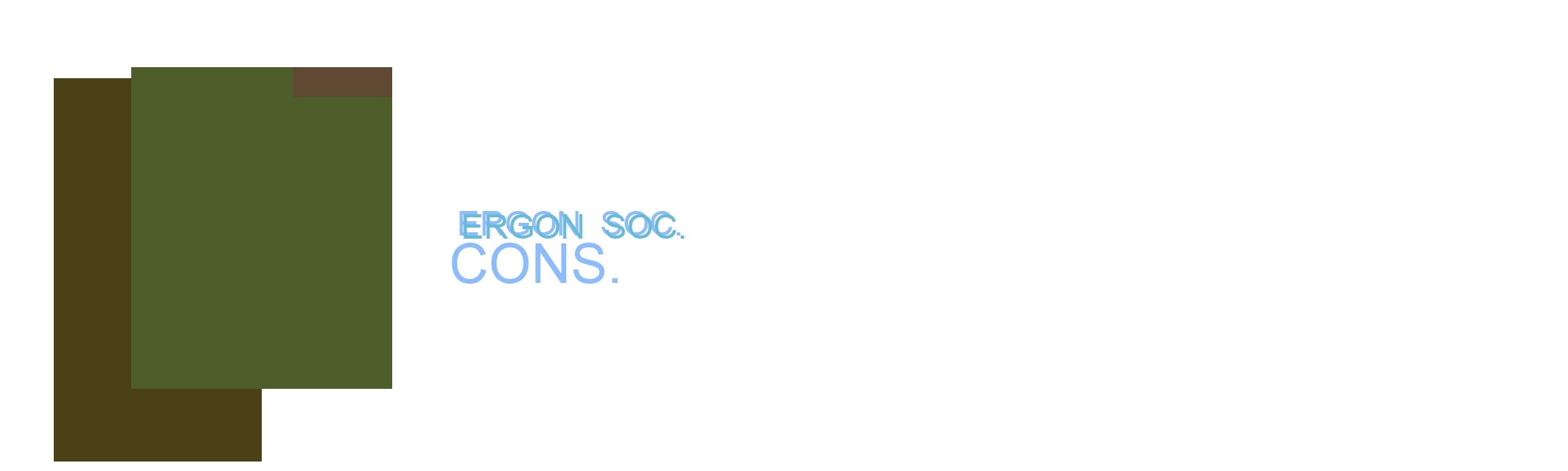 Ergon Soc. Cons.