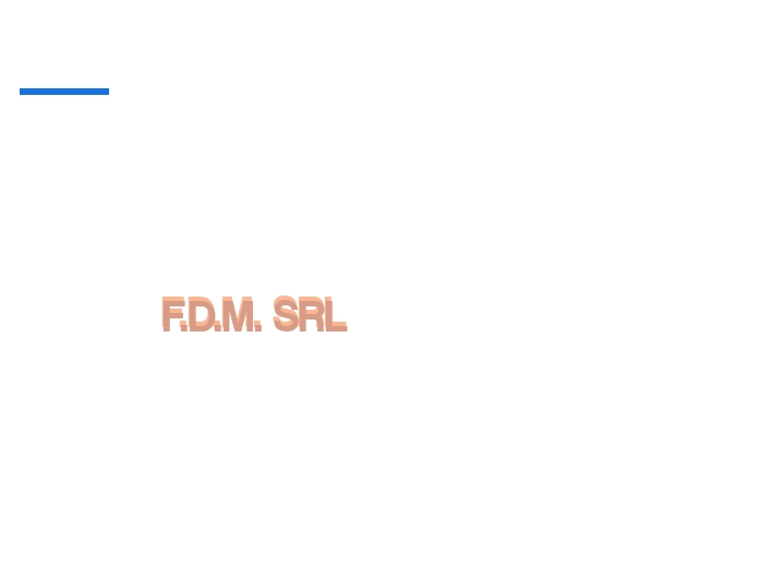 F.D.M. Srl