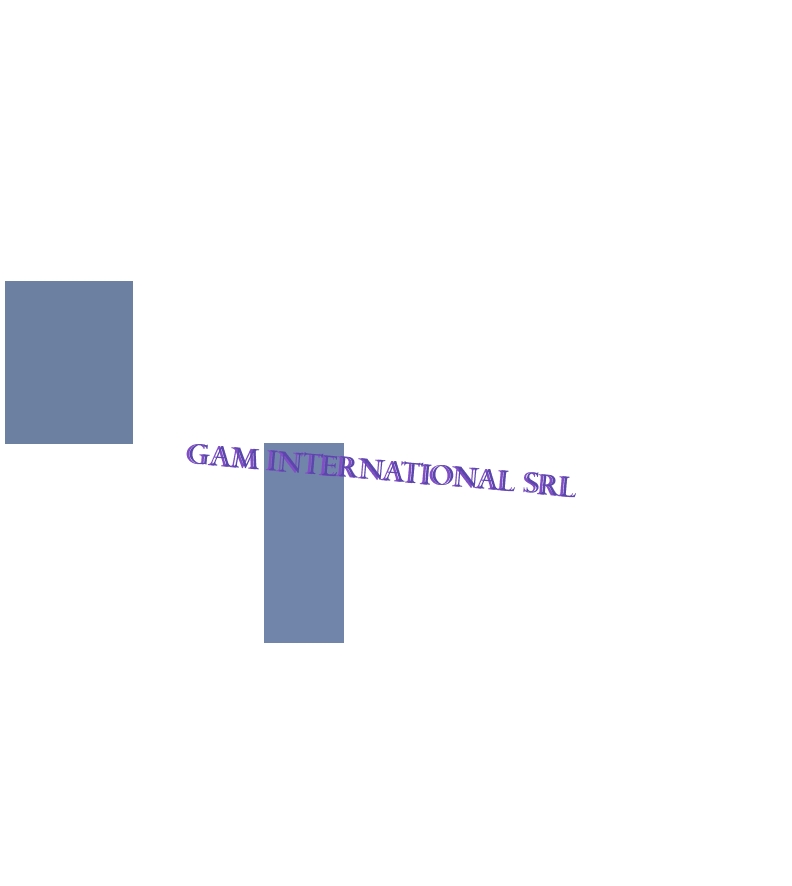 Gam International Srl