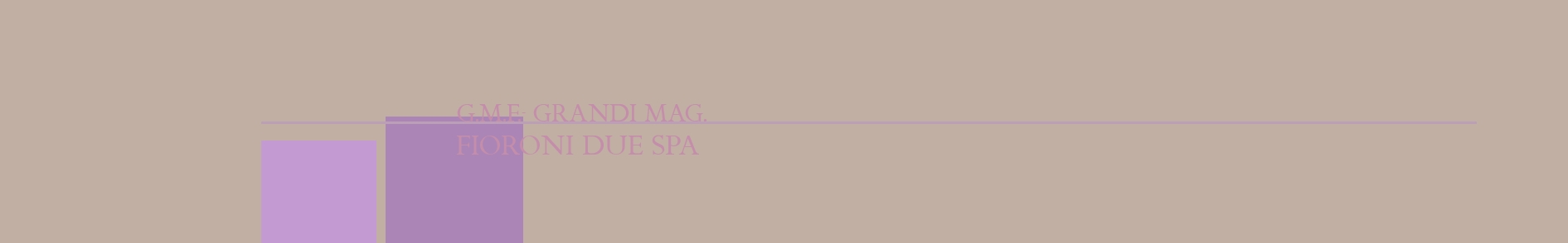G.M.F.^- Grandi Mag. Fioroni Due SpA