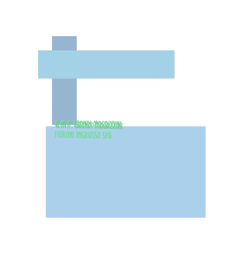 G.M.F. Grandi Magazzini Fioroni Ingrosso SpA