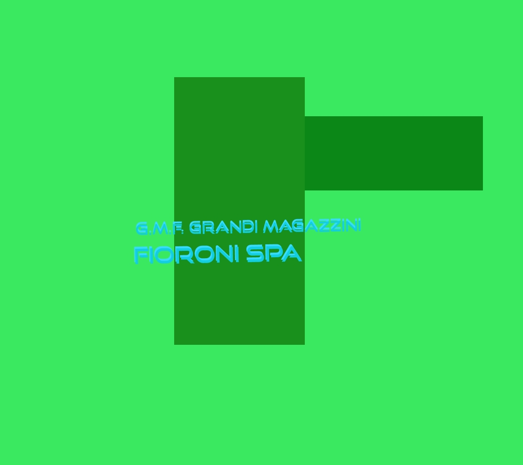 G.M.F. Grandi Magazzini Fioroni SpA